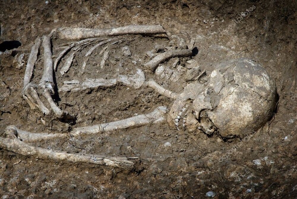 Depositphotos 4059872 stock photo grave burial skeleton human bones1