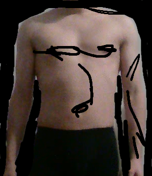 Raraeraer