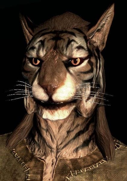 Khajiit