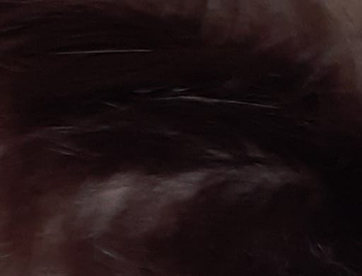 20210706 110357