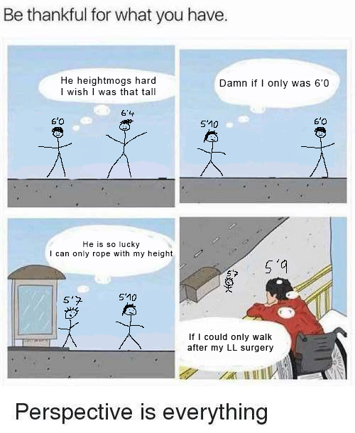 Perspective
