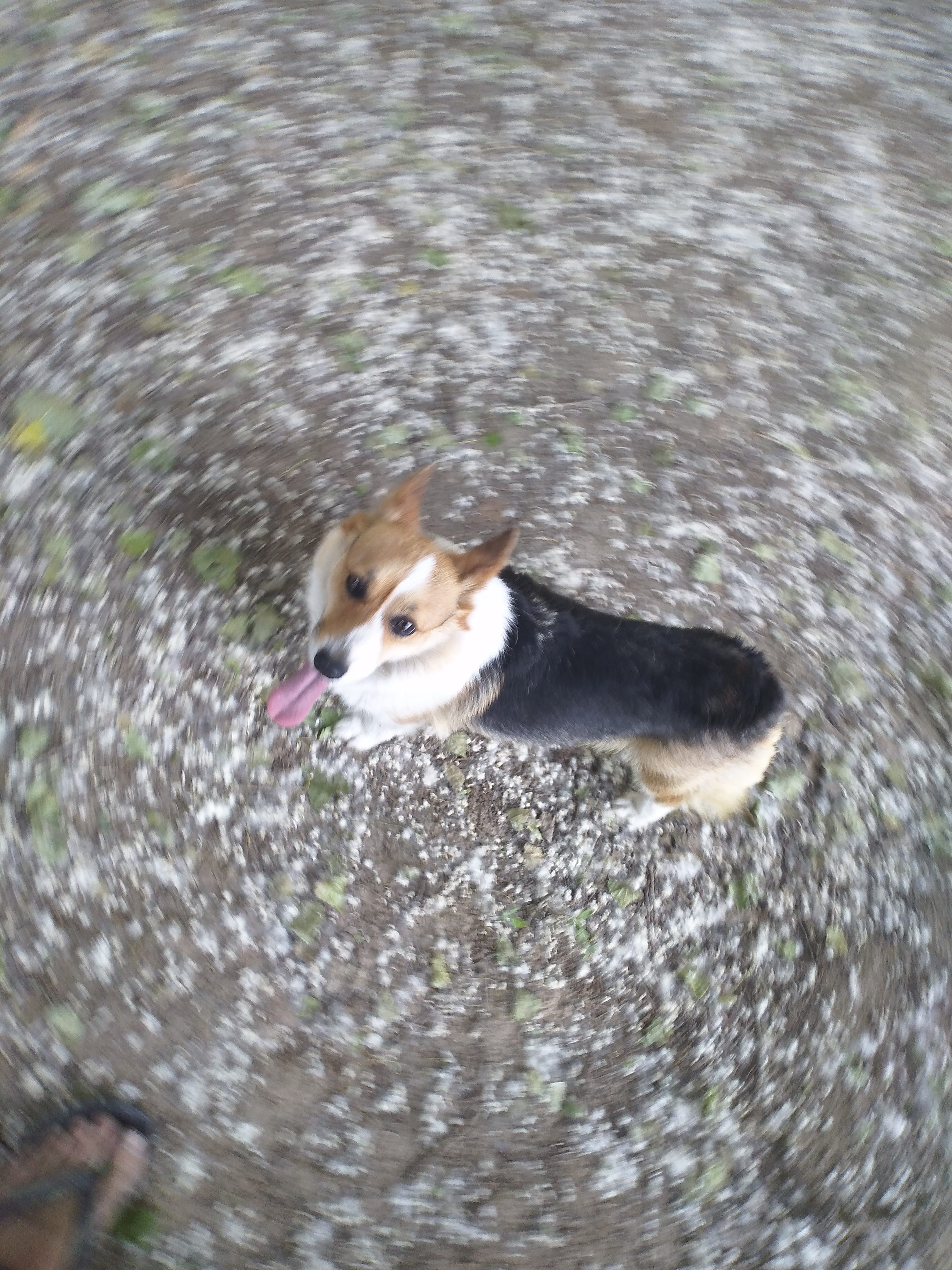 IMG 20210512 173448