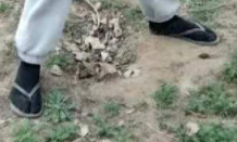 1625674095679
