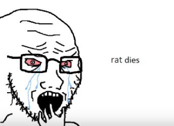 Rat