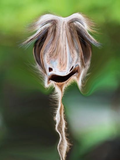 Photobender 1