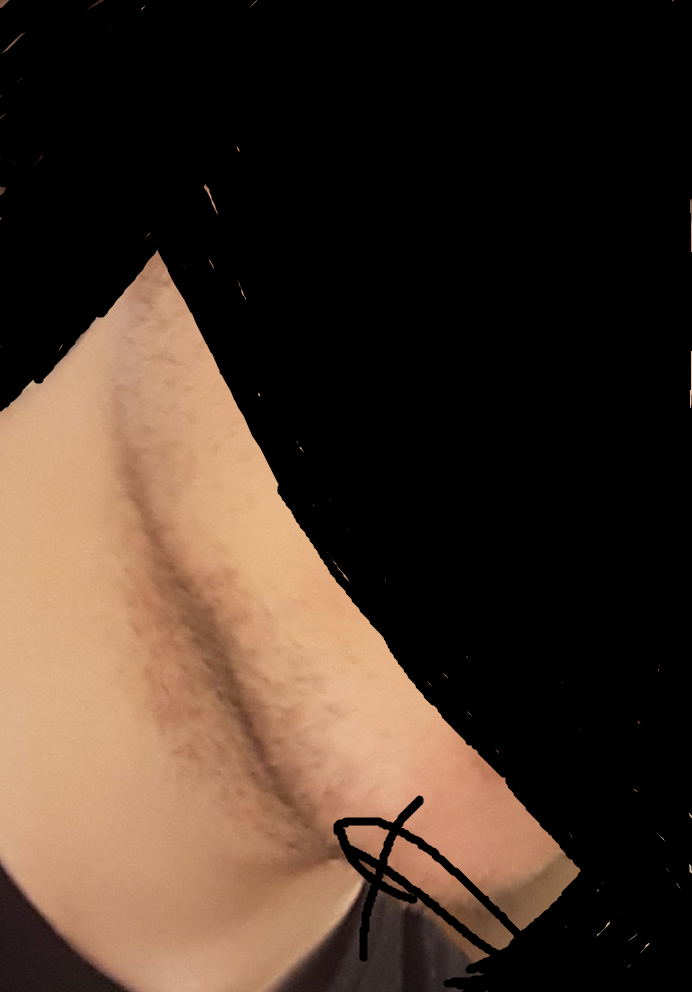S1