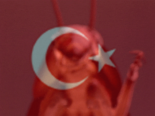 LYr3YAV