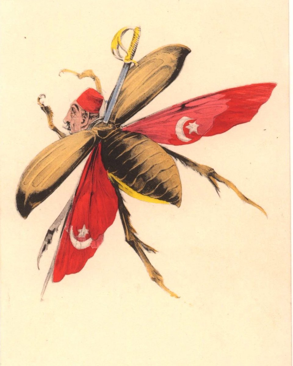 Image 2021 07 12 052857