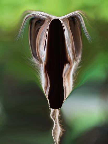 Photobender 2