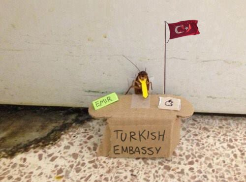 1626139829125