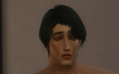 Hapa sim