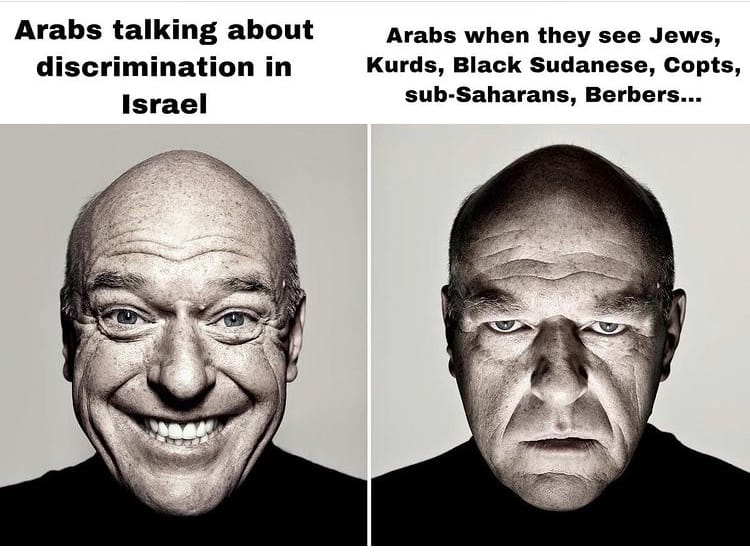 AF8847CA F508 43C9 8003 280192D20D6F