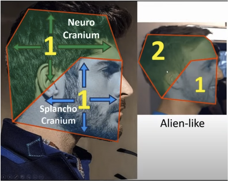 E2a228c12edbb7de2c01ee0a621bc4eb