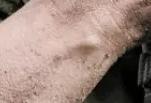 1626445968516