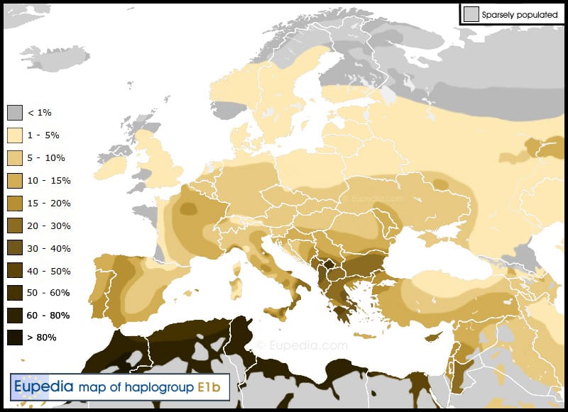 Haplogroup E1b1b 1