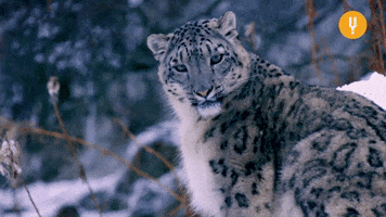 200 53