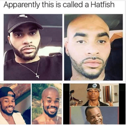 Apparently this is called a hatfish 30921715