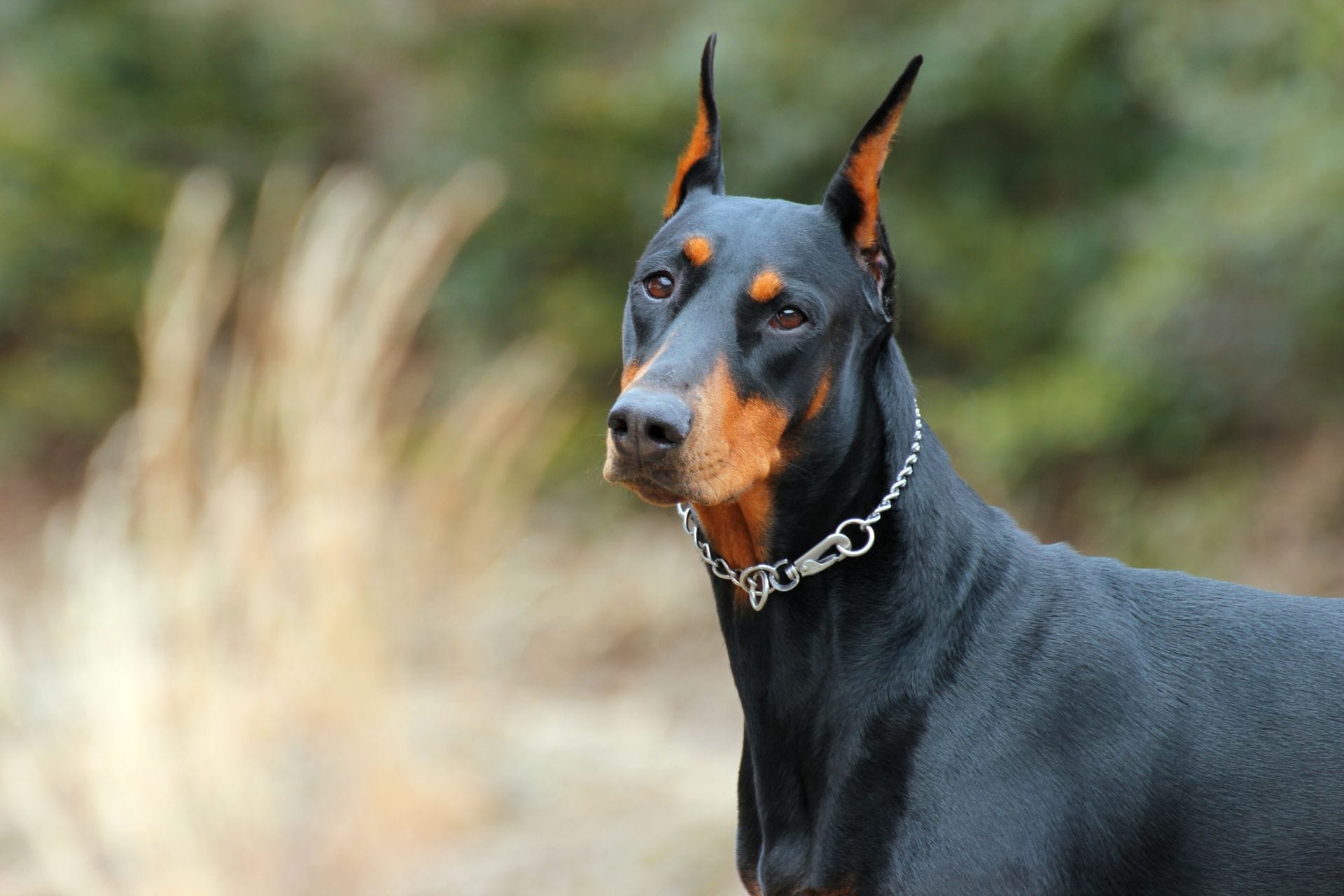 AdobeStock 142438416  01