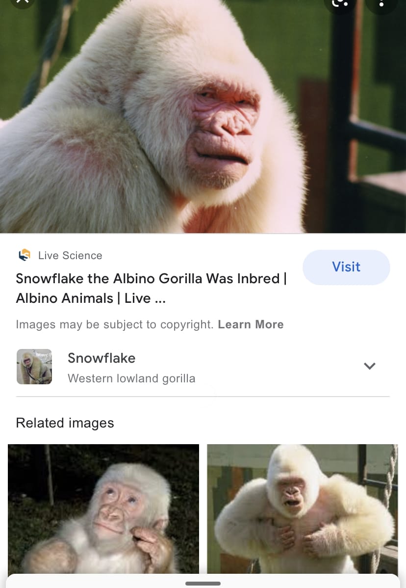 F3A5F936 5525 4891 A3DB 59850F0BEE5C