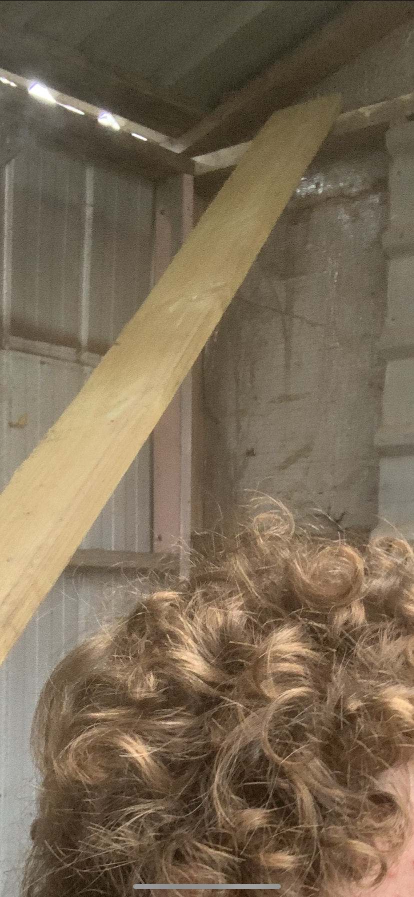 4987B589 A6A9 4C62 9B87 79BB5CDB5ADF