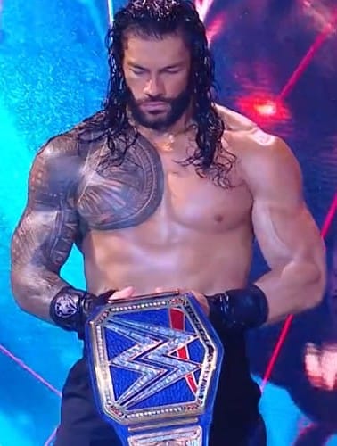 Roman reigns paul heyman 88422