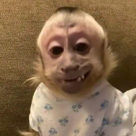 1627426136278