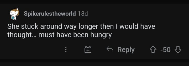 20210729 022402