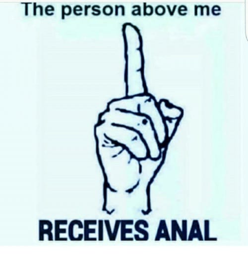 959717A1 8AF9 4616 BDD8 F5B9B46D9EA5