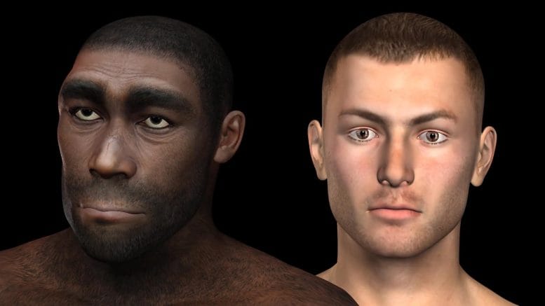 Human Neanderthal Concept 777x437