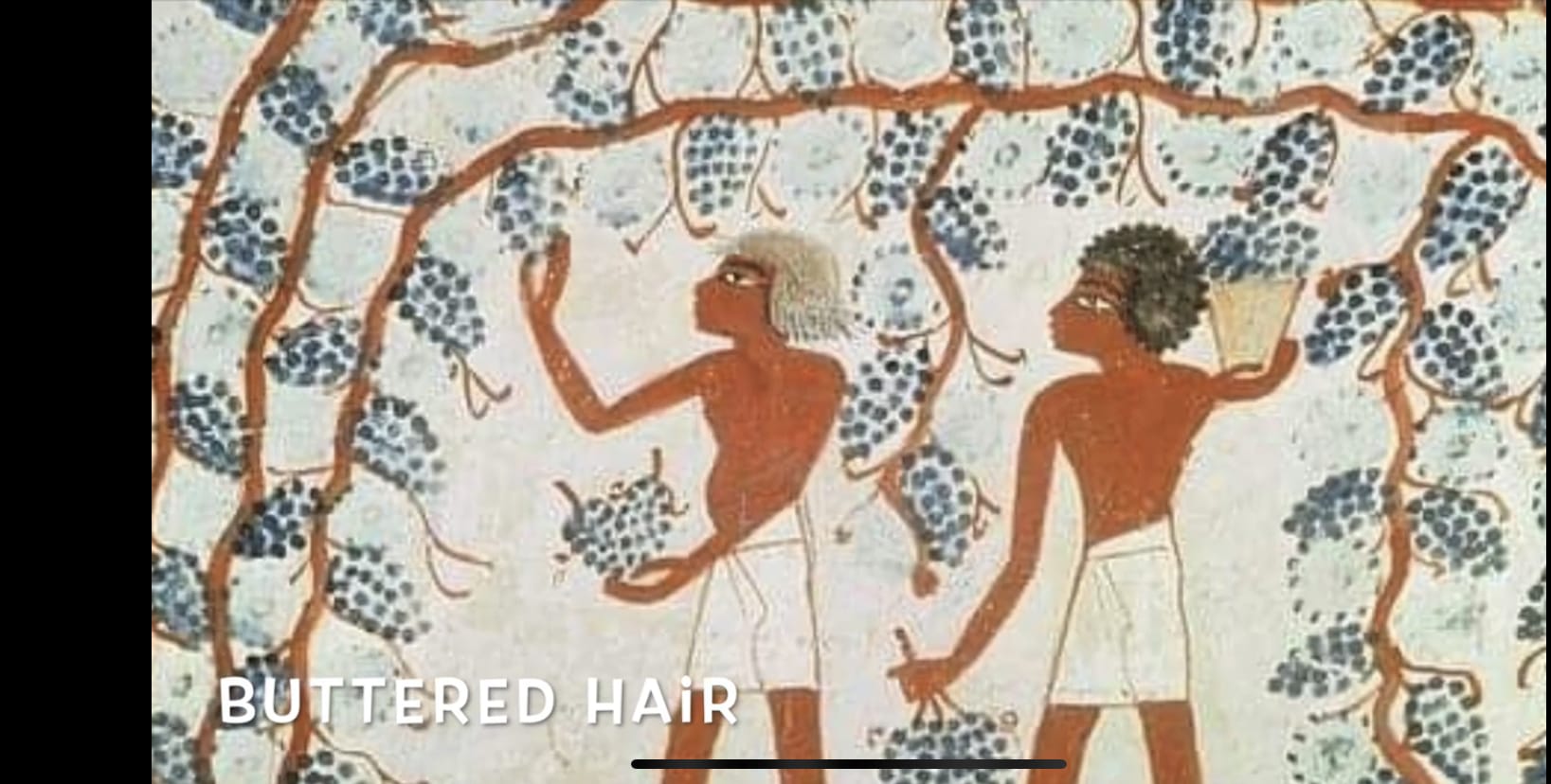 720FEE30 79E7 41BF 9EF9 01C12D68F404