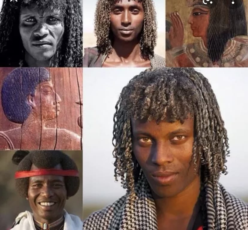 8BC7FC83 EC5A 4DC0 B3E9 BE8C556C39EF