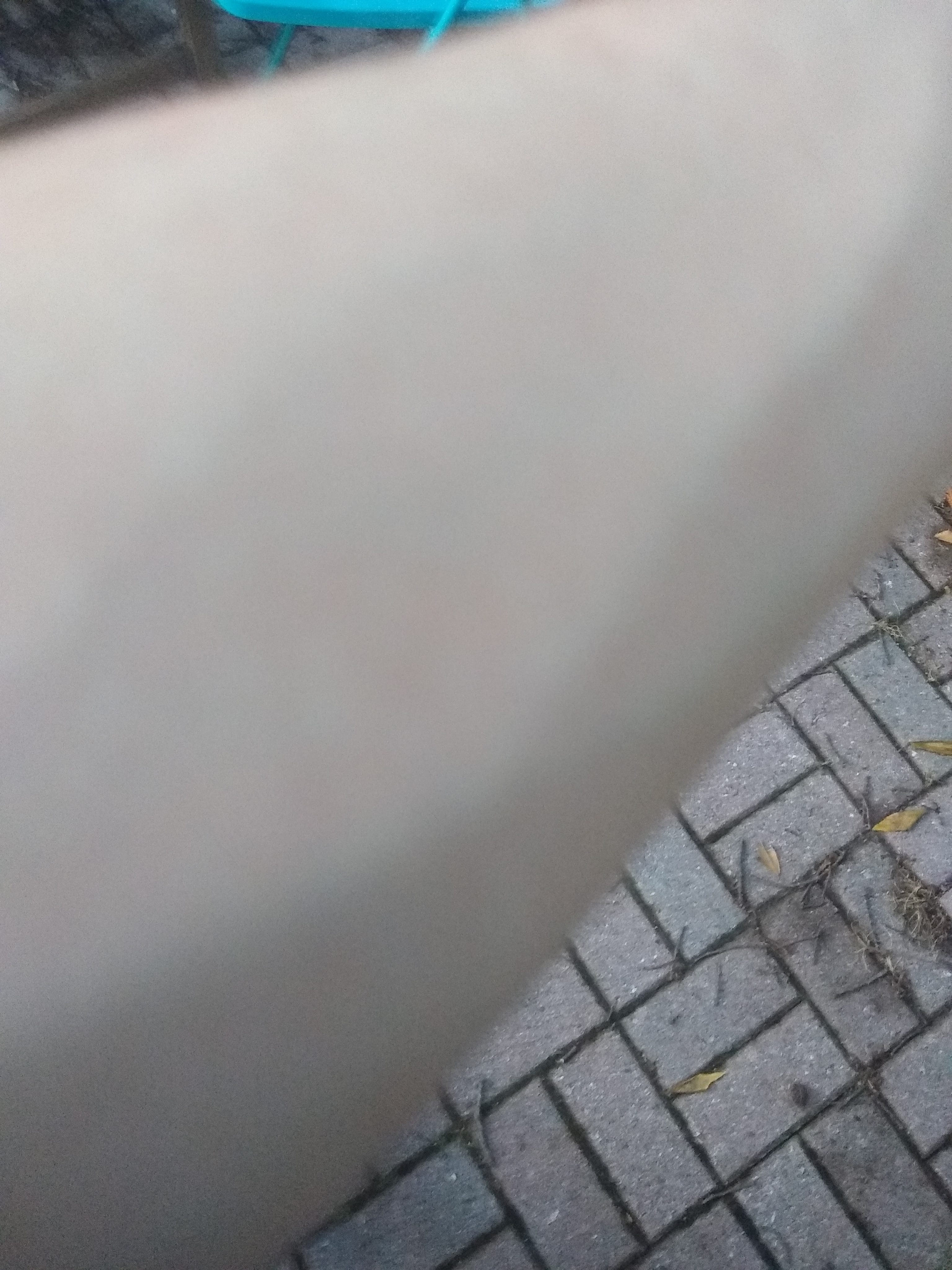 IMG 20210801 200851621