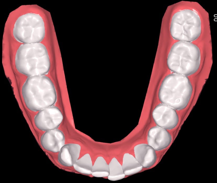 Screen Shot 2021 08 02 at 44242 PM