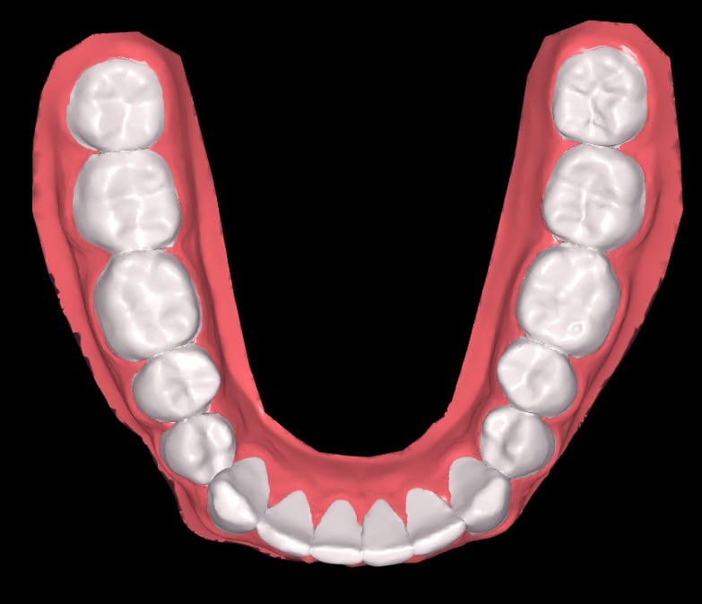 Screen Shot 2021 08 02 at 44218 PM