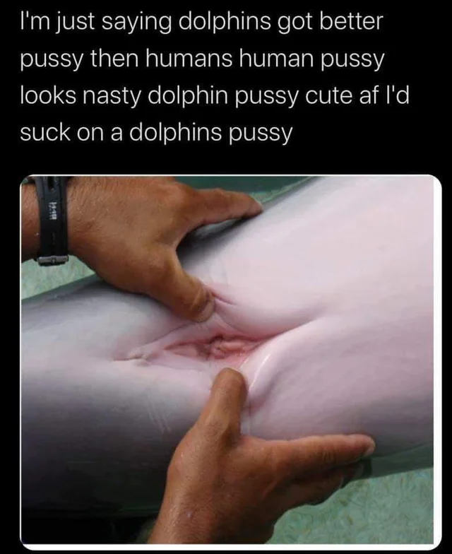Qlhmyqosftx41