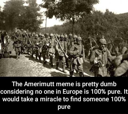 1628082559463