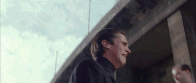 Equilibrium gif 4