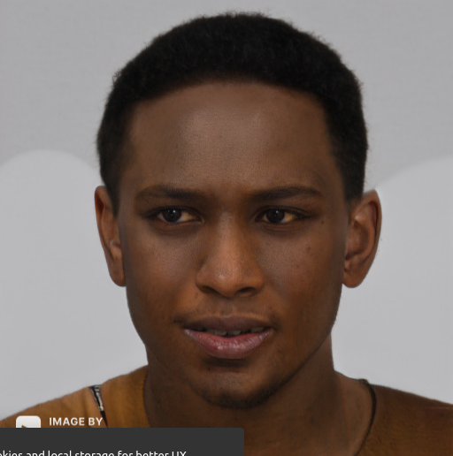 Screenshot 2021 08 06 Face Generator  Generate Faces Online Using AI1