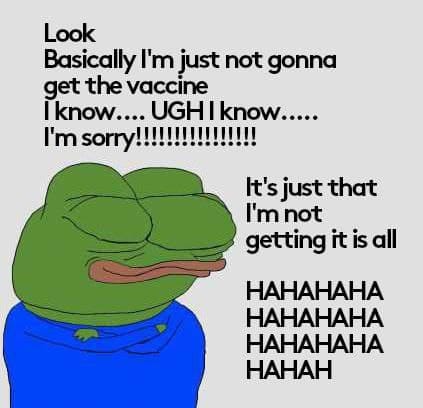 IMG 2639