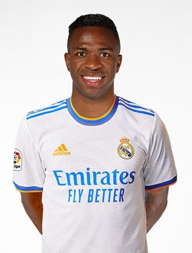 Vinicius 380x501