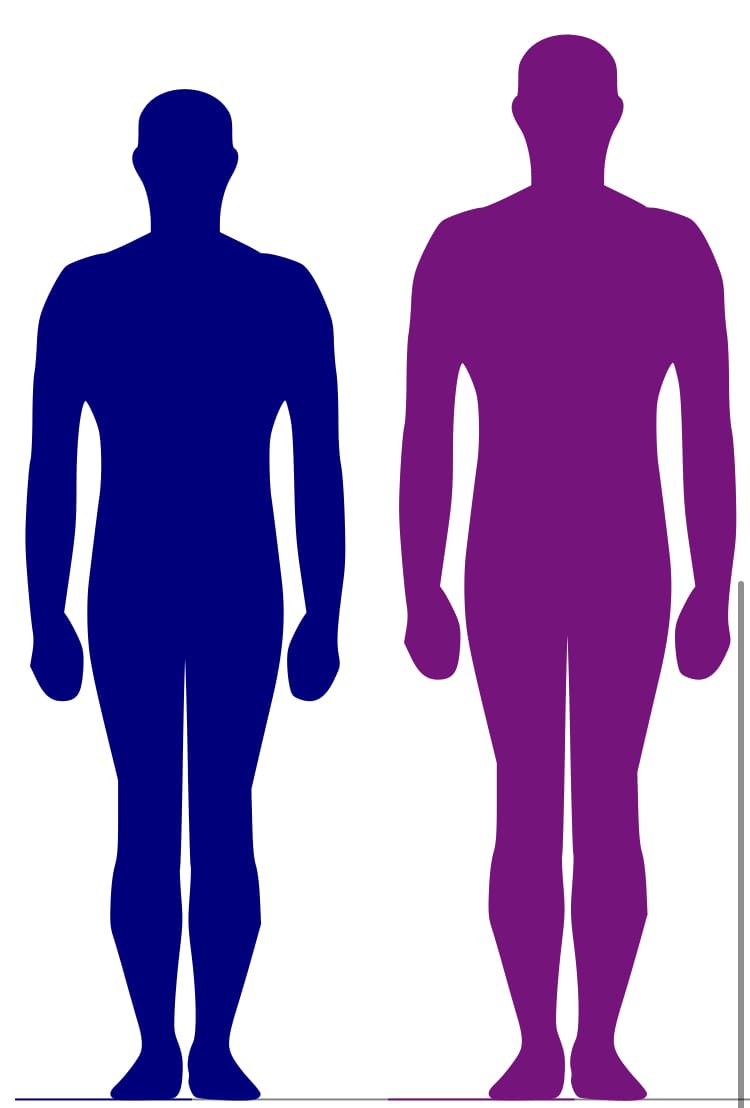 5B159C4D 9C13 48F6 AAE6 77E159ECE694