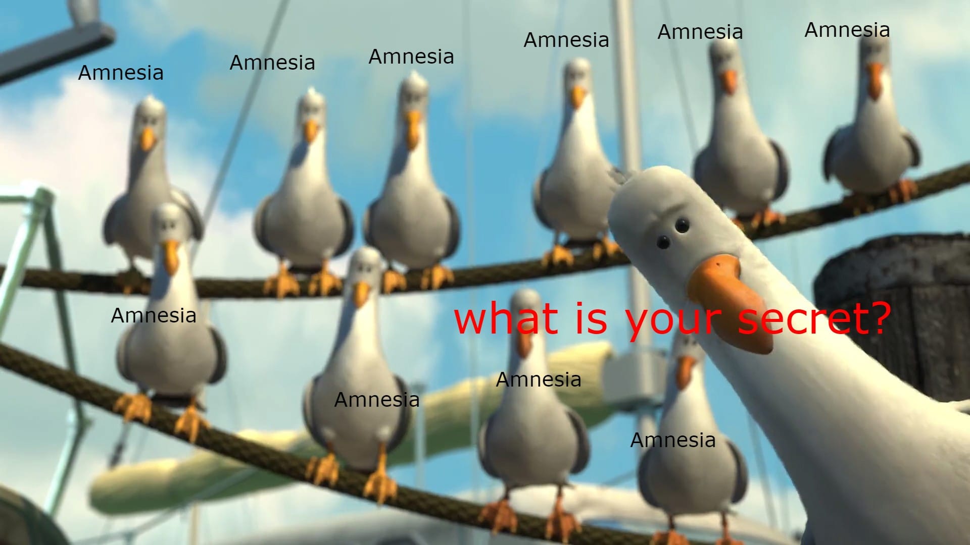 Nemo Seagulls  1