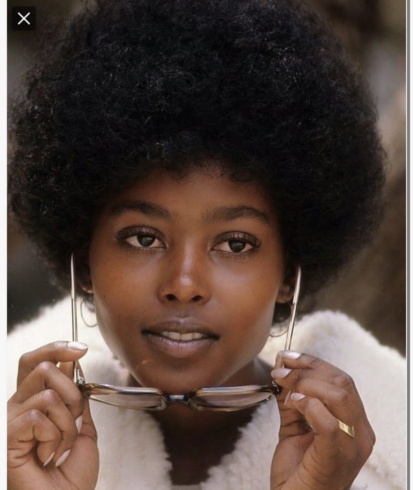 898639D7 6FBB 49C5 8BF8 F4B4E9EBECE1