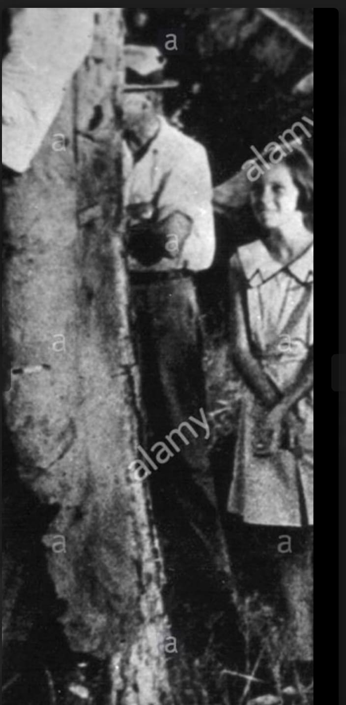 A045C1A0 8F36 4796 9F6F 77C65B03C149