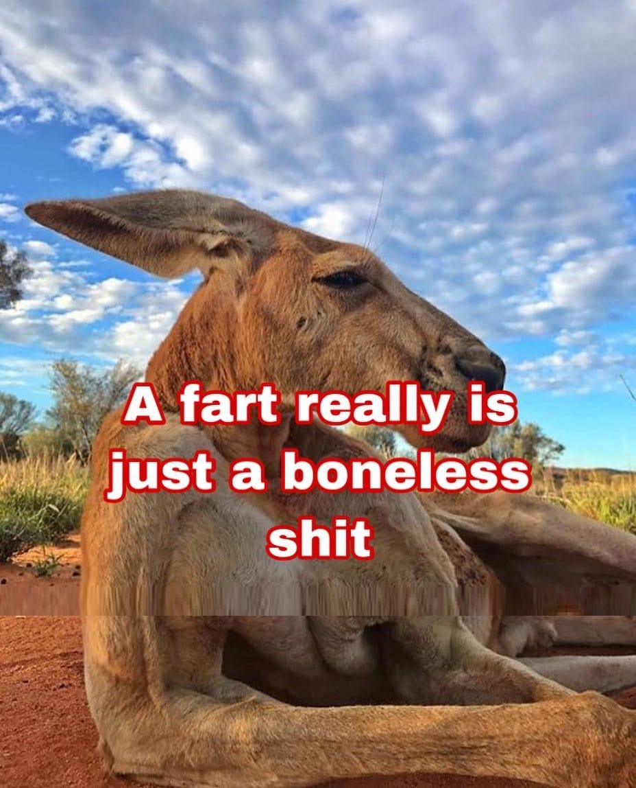 Fart