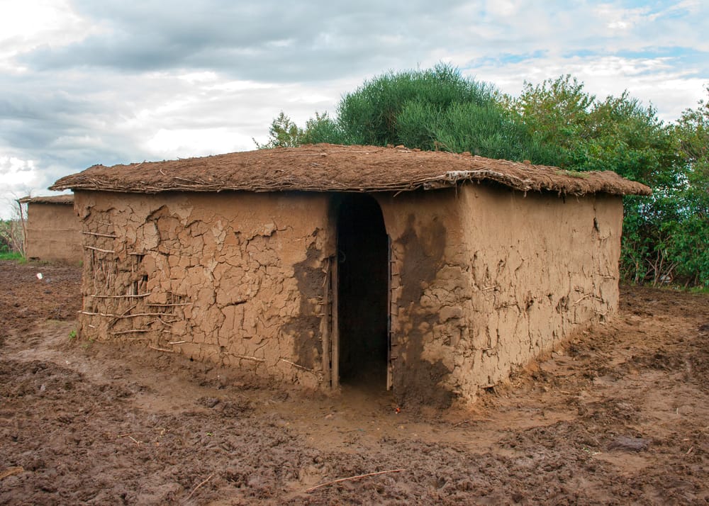 Mudhut 149806478
