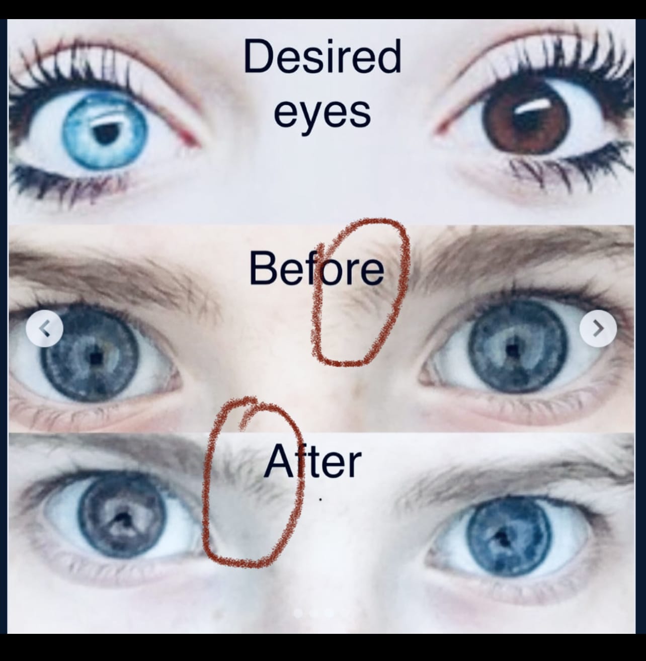 54C54D88 947D 4C11 8B4E 693ACB78D88C