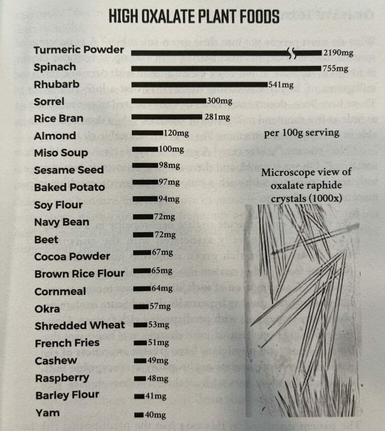 High oxalate plant foods source The Carnivore Code scaled
