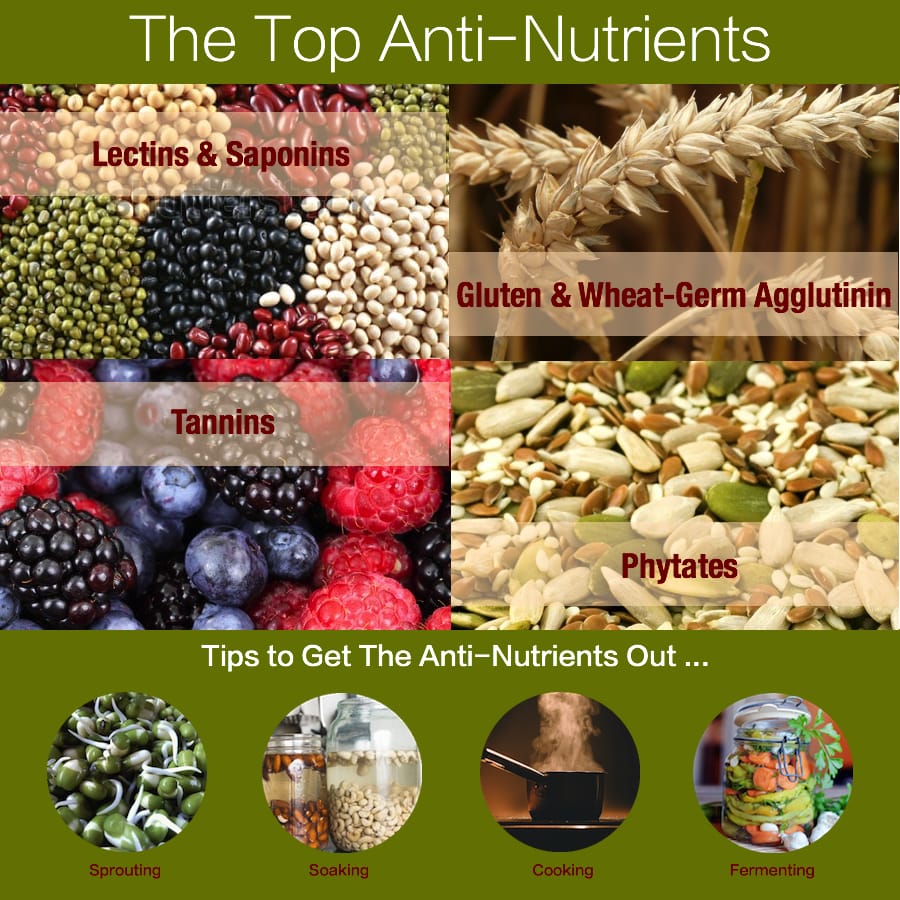 Anti Nutrients Chart