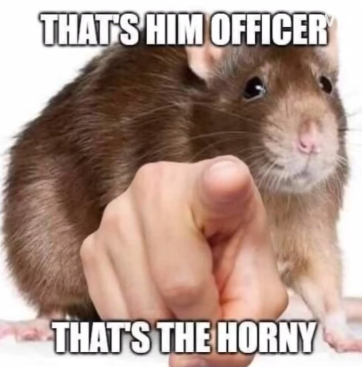 Qwfq2